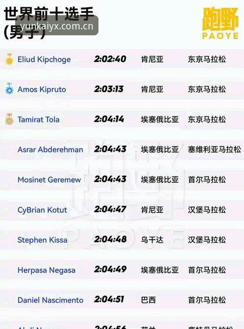 云开体育平台APP下载实用指南：从零开始轻松安装必备知识