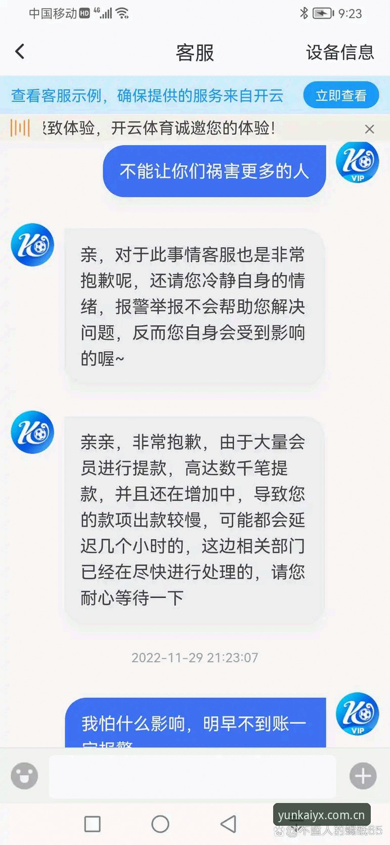 云开体育平台发展路径深度分析：从官方网站入口到品牌生态构建